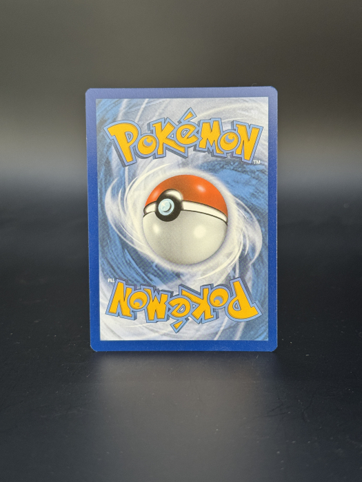 Charizard V (SWSH 260) - NM | Pokemon SWSH Black Star Promos [2]