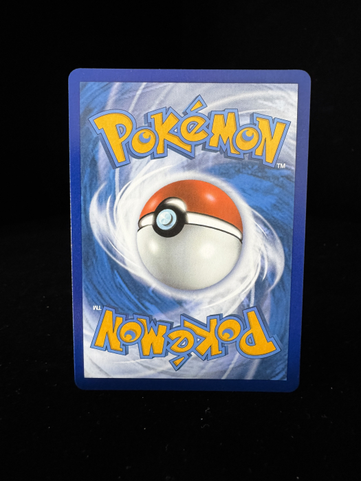 Rayquaza Vmax (EVS111) - NM | Pokemon Evolving Skies [5]