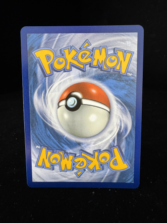 Cetitan ex (DRI210) - NM | Pokemon Destined Rivals [4]