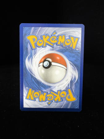 Charizard ex (OBF223) - NM | Pokemon Obsidian Flames [4]