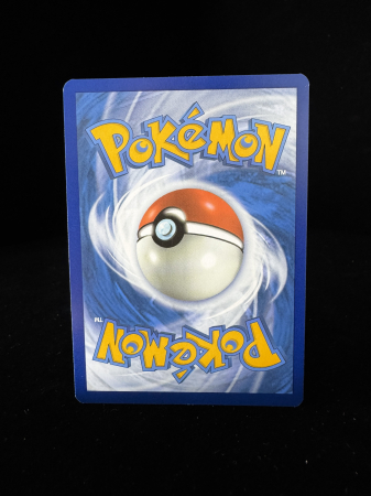 Charizard ex (OBF223) - NM | Pokemon Obsidian Flames [4]