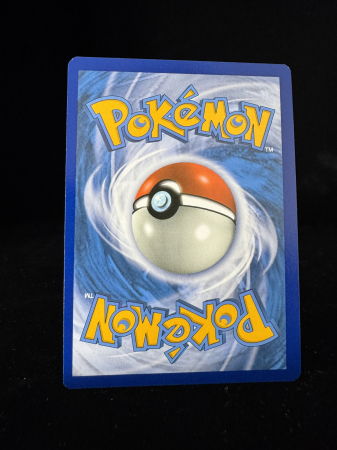 Charizard Vstar (SWSH262) - NM | Pokemon SWSH Black Star Promos [5]