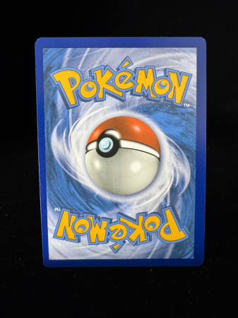 Charizard Vstar (SWSH262) - NM | Pokemon SWSH Black Star Promos [4]