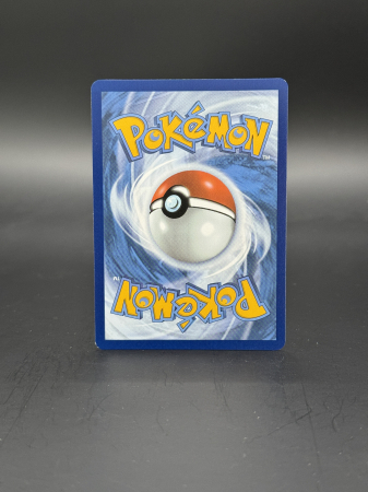 Kangaskhan (SVP 202) - NM | Pokemon SV Black Star Promos [1]