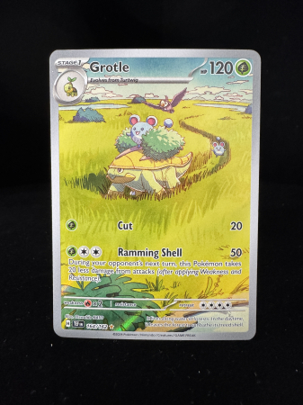 Grotle (TEF 164) - NM | Pokemon Temporal Forces [1]