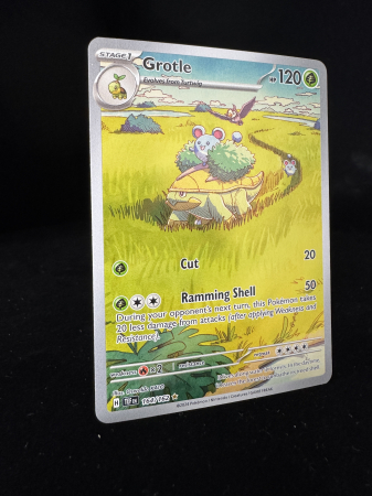 Grotle (TEF 164) - NM | Pokemon Temporal Forces [2]