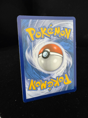 Gyarados (XYPR 109) - NM- | Pokemon XY Black Star Promos [5]