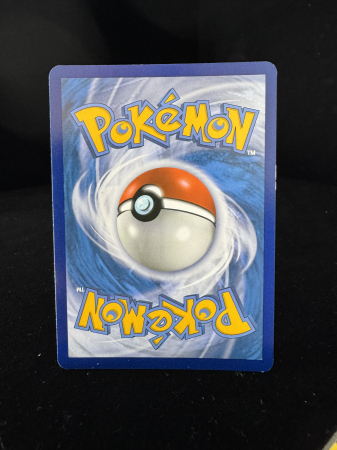 Gyarados (XYPR 109) - NM- | Pokemon XY Black Star Promos [4]