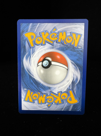 Ice Rider Calyrex VMAX (CRE203) - NM | Pokemon Chilling Reign [4]