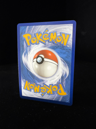 Leafeon V (SWSH194) - NM | Pokemon SWSH Black Star Promos [6]