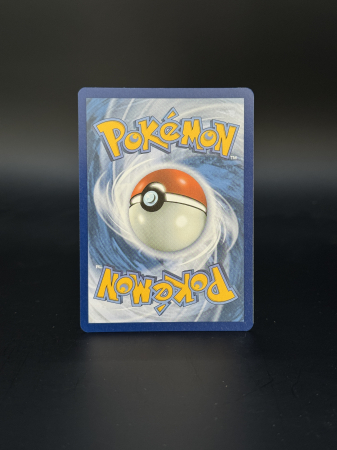 Bloodmoon Ursaluna ex (TWM 216) - NM | Pokemon Twilight Masquerade [1]