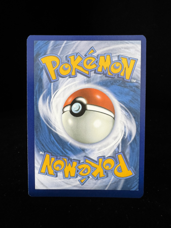 Parasol Lady (PAR255) - NM | Pokemon Paradox Rift [4]