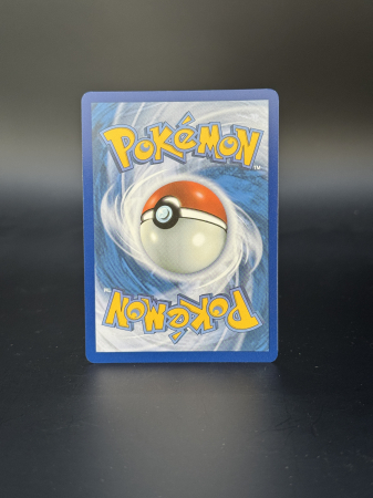 Phanpy (SSP205) - NM | Pokemon Surging Sparks [1]