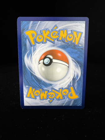 Pikachu V (SWSH285) - NM | Pokemon SWSH Black Star Promos [4]