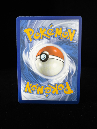 Pyroar (PAL200) - NM | Pokemon Paldean Evolved [4]