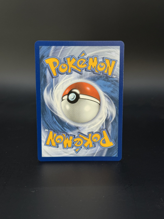 Mightyena (ASC 243) - NM | Pokemon Ascended Heroes [1]