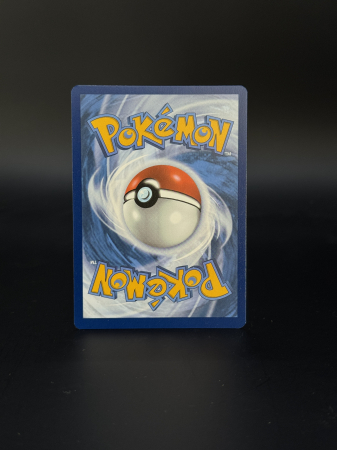 Tornadus (SVP 210) - NM | Pokemon SV Black Star Promos [1]