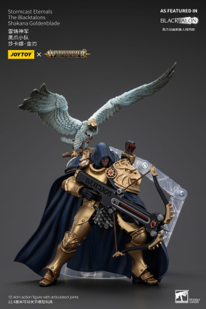 Warhammer Age of Sigmar Actionfigur Stormcast Eternals The Blacktalons Shakana Goldenblade 20 cm [8]