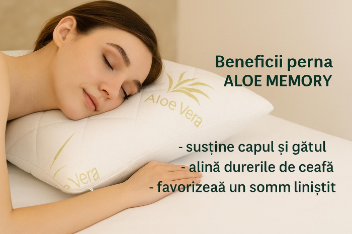 perna-memory-aloe-vera-50x70-realdecor.jpg [2]