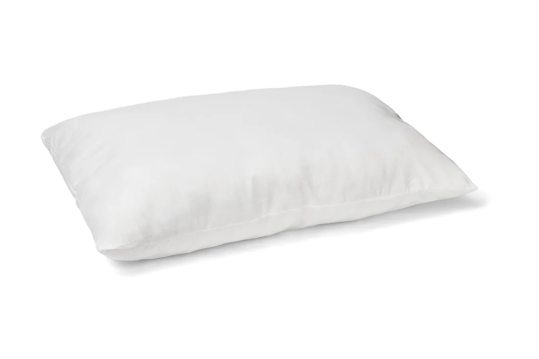 Perna alba 50x70 [1]