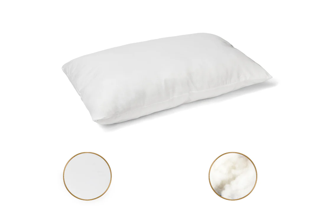 Perna alba 50x70 [3]