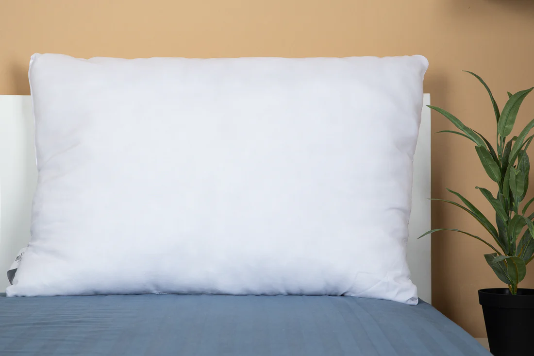 Perna alba 50x70 [2]