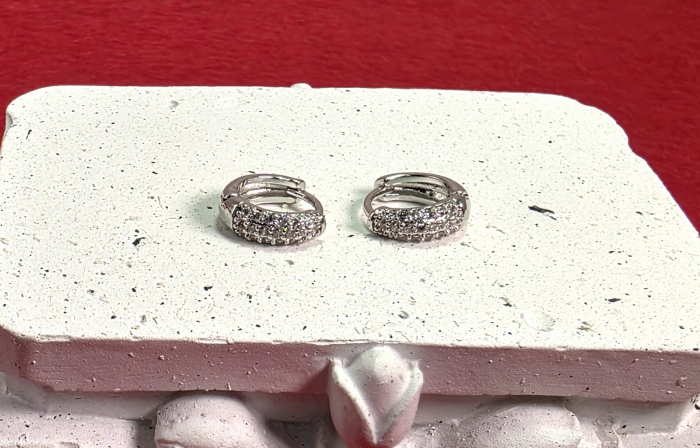 Cercei Ines argintii [3]