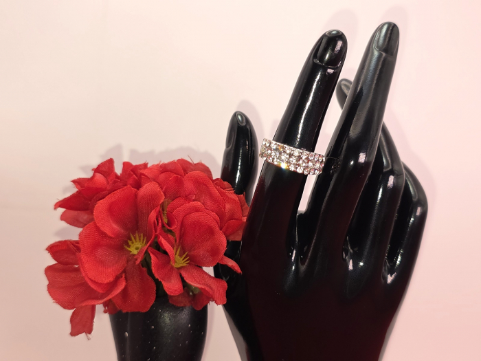 Inel Andrada argintiu [1]