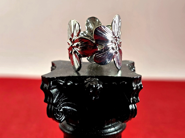 Inel Florina argintiu [3]