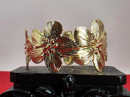 Indraznete - Bratara Florina aurie