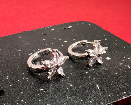 Cercei Gabriela argintii [1]