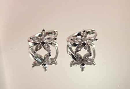 Cristale - Cercei Gabriela argintii