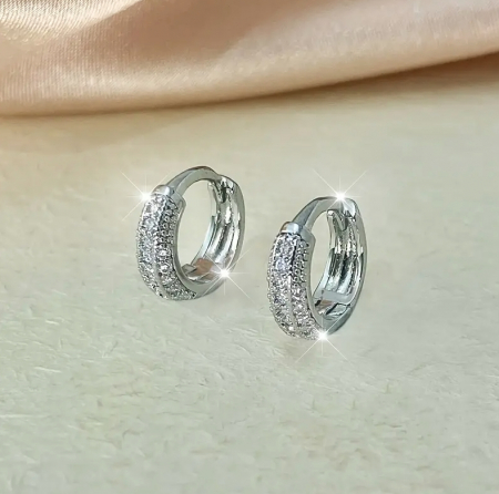 Cercei Ines argintii [1]