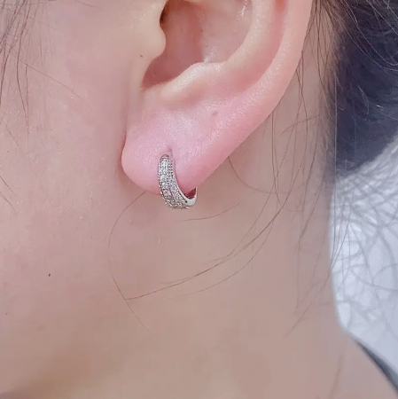 Cercei Ines argintii [4]