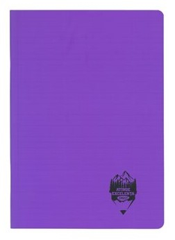 Caiet A4 100 file copertă plastic Română DACO [7]