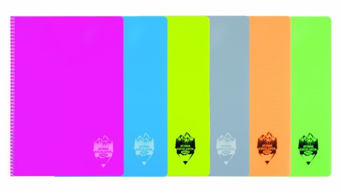 Caiet A4 144 file copertă plastic spiră Matematică DACO [1]