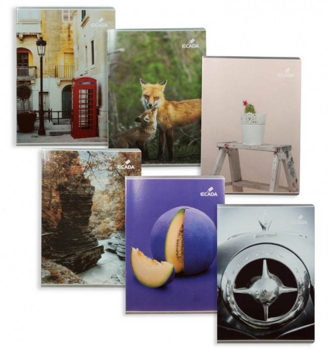 Caiet A5 48 File Policrom Română ECADA [4]