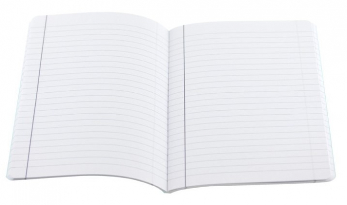 Caiet A5 80 file policrom Română ECADA [2]