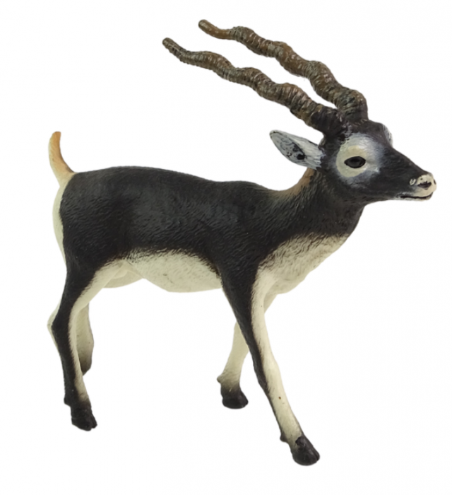 Figurină Colectibilă Antilopa Blackbuck – Seria Animale din Lume [2]