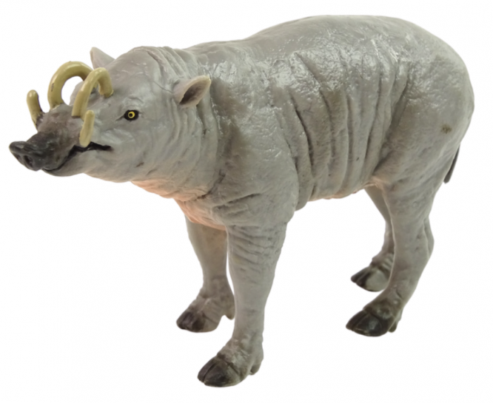 Figurină Colectibilă Babirussa Sulaweska – Seria Animale din Lume [2]