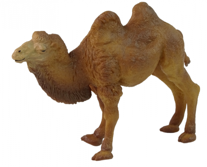 Set Figurine cu Cămile – Animale Sălbatice [2]
