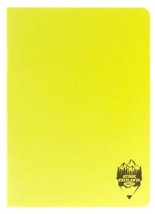 Caiet A4 100 file copertă plastic Română DACO [1]