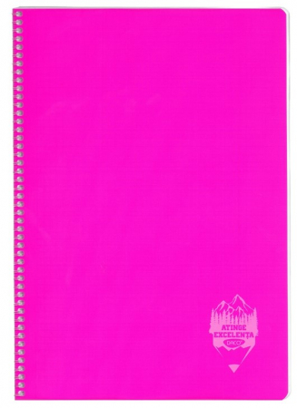 Caiet A4 144 file copertă plastic spiră Matematică DACO [2]