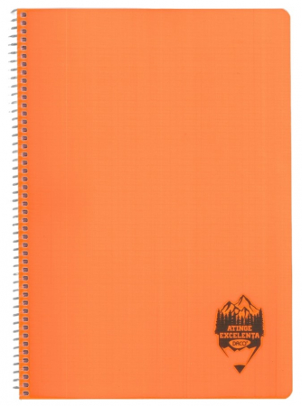 Caiet A4 144 file copertă plastic spiră Matematică DACO [4]