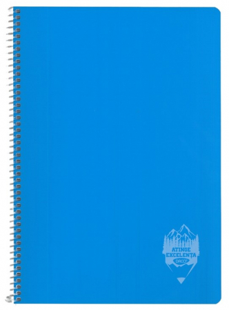 Caiet A4 96 file copertă plastic spiră Română DACO [5]