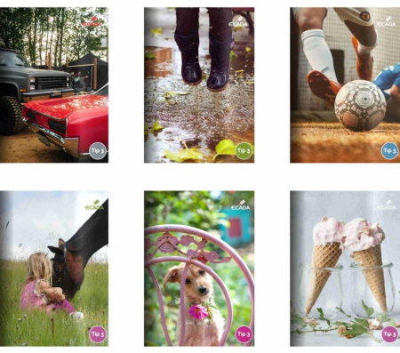 Caiete A5 - Caiet A5 24 file tip 3 ECADA