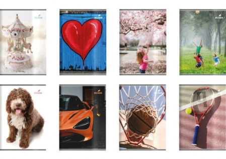 Caiete A5 - Caiet A5 48 File Policrom Matematică ECADA