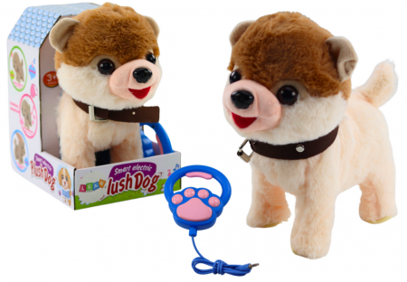 Jucarii educationale - Cățel Interactiv pe Lesă – Merge, Dansează și Cântă Alb și Bej