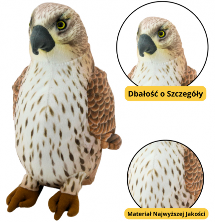 Jucărie de pluș, pasăre șoim călător maro, 30 cm [1]