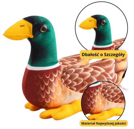 Jucarii de plus - Mascotă de pluș, jucărie de alint rață maro-verde, 28 cm